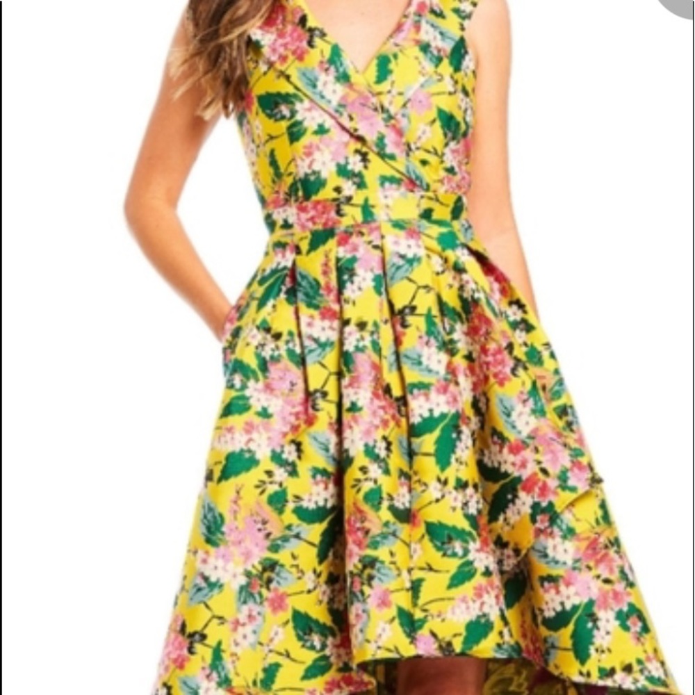 Alex Marie Jacquard dress
